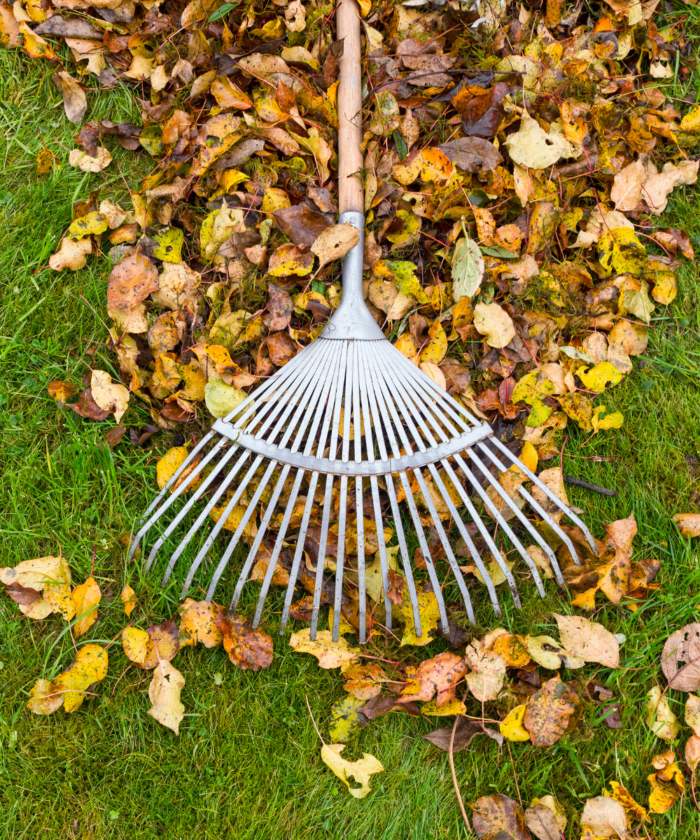 Debris removal