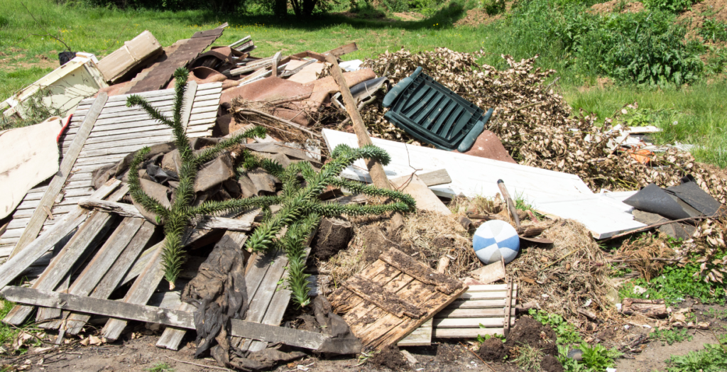 Yard Debris Removal