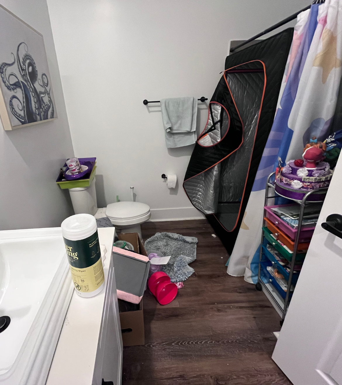 Bathroom before a Junk Removal Service